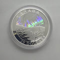2004 Canada Natural Wonders Aurora Borealis $20 1oz Silver Hologram Coin