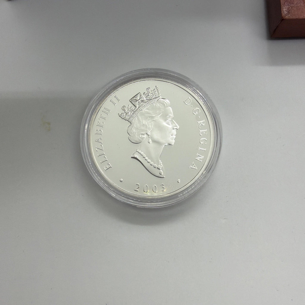2004 Canada Natural Wonders Niagara Falls $20 1oz Silver Hologram Coin