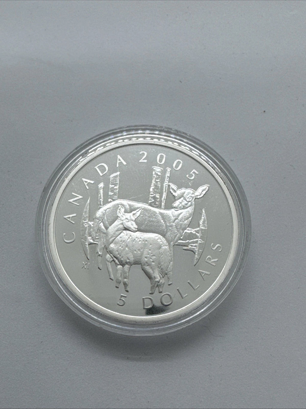 Canada 2006 $5 99.99 Fine Silver Deer & Fawn Limited Edition Stamp & Coin Set