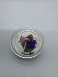 2013 Canada $20 1 oz Silver Purple Coneflower & Venetian Glass Blue Butterfly