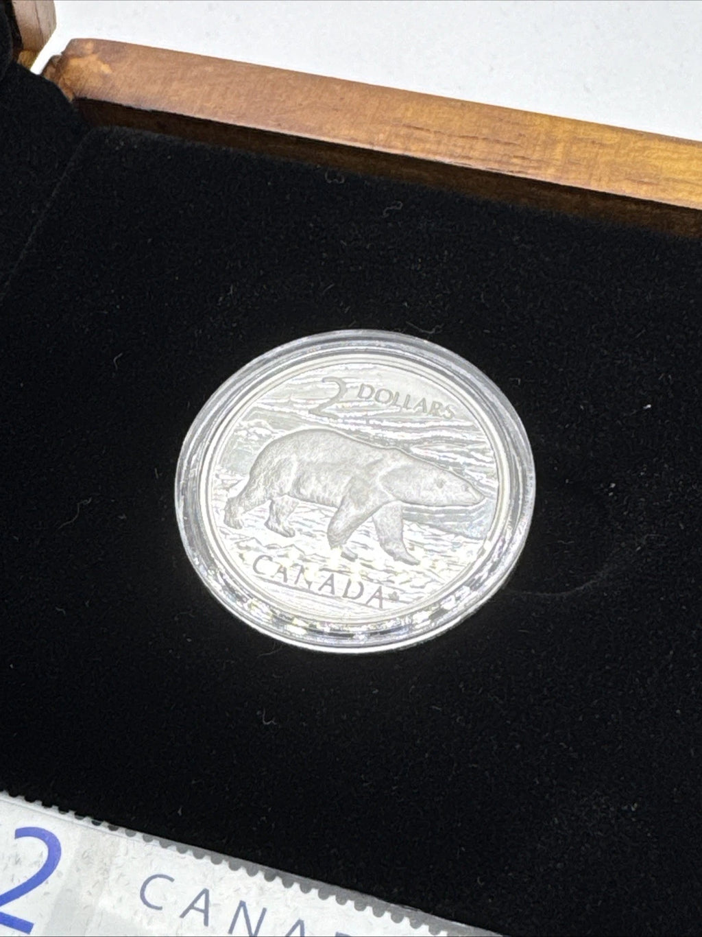 2004 Canada Polar Bear Silver Coin + Stamp Set – RCM OGP – Proof