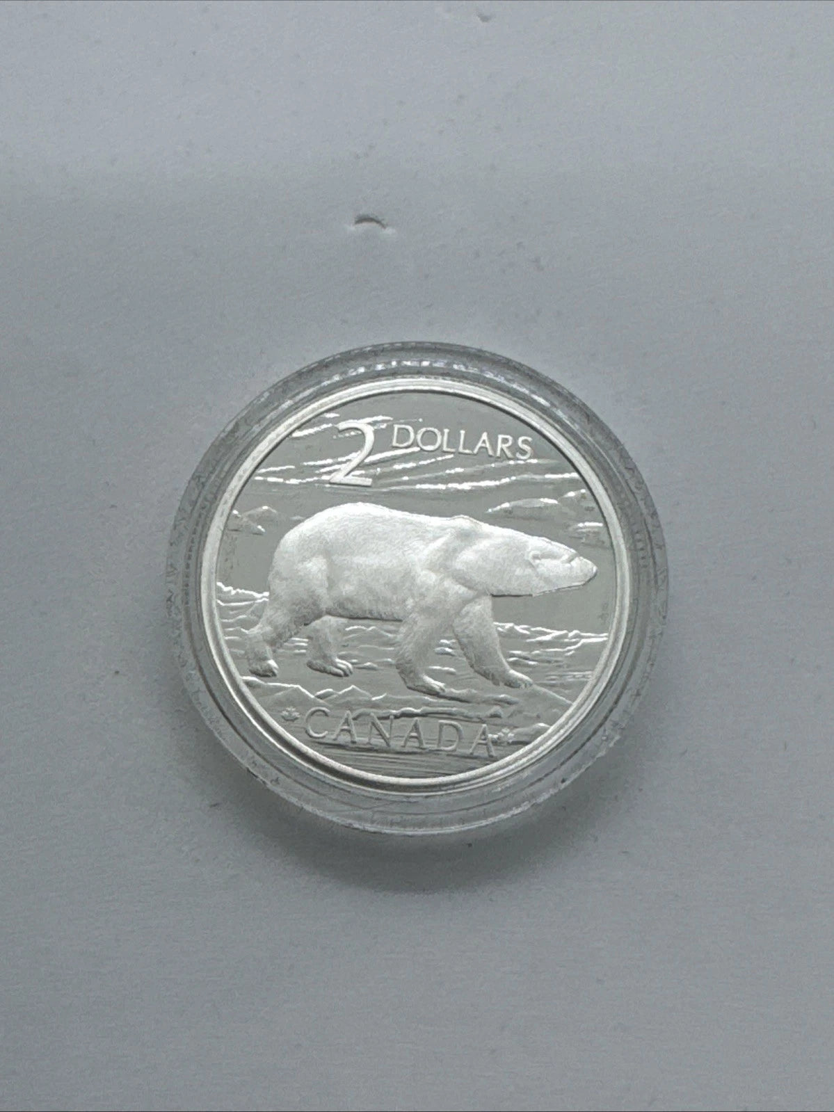 2004 Canada Polar Bear Silver Coin + Stamp Set – RCM OGP – Proof