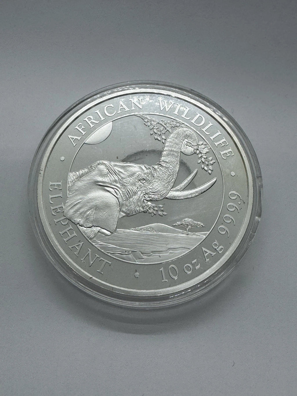 2023 Somalia 10 oz Silver African Wildlife Elephant BU Broken Capsule As Is