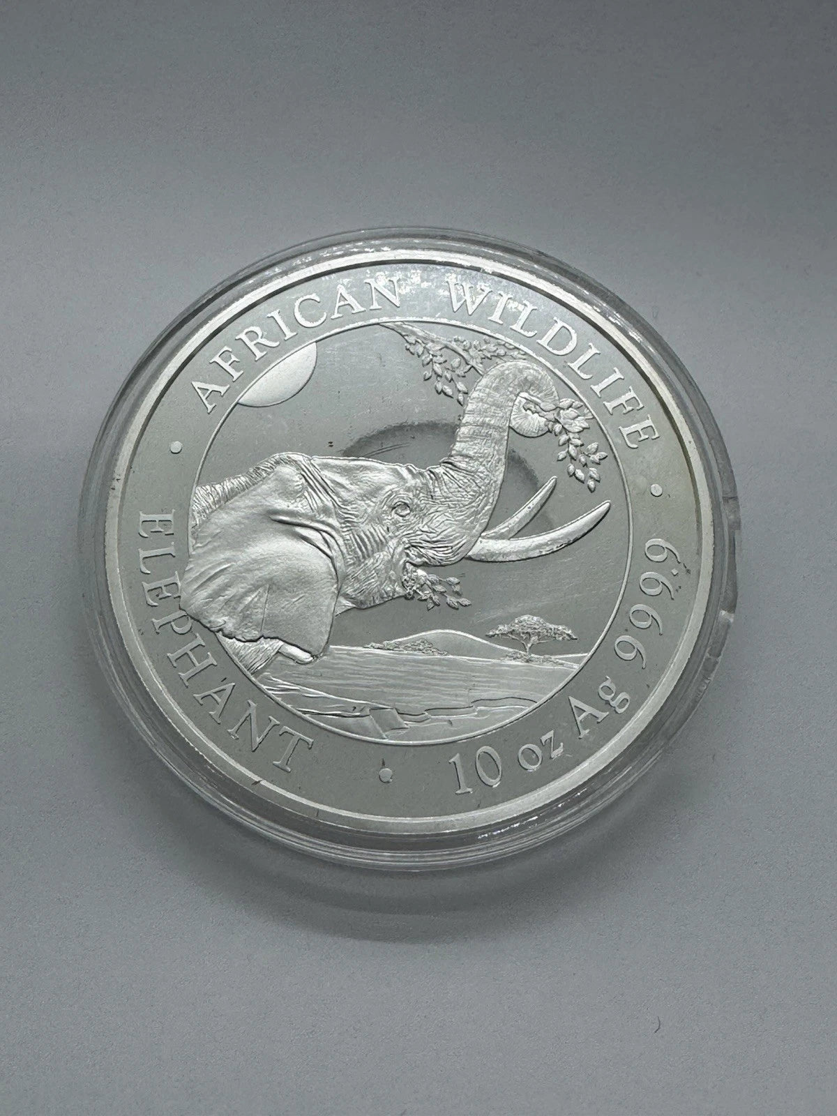 2023 Somalia 10 oz Silver African Wildlife Elephant BU Broken Capsule As Is